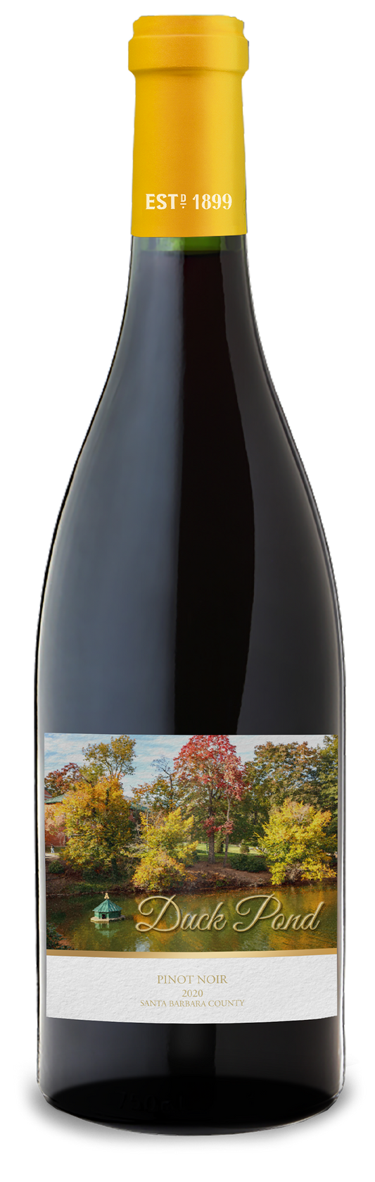 Duck Pond - 2020 Pinot Noir - Santa Barbara County