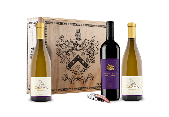 Gamma - Snowy White Owl & Red Gift Box Set