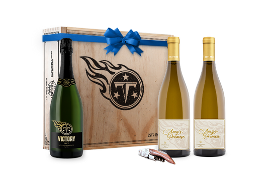 Amy’s Promise and Victory Gift Box Set