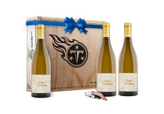 Amy’s Promise Gift Box Set