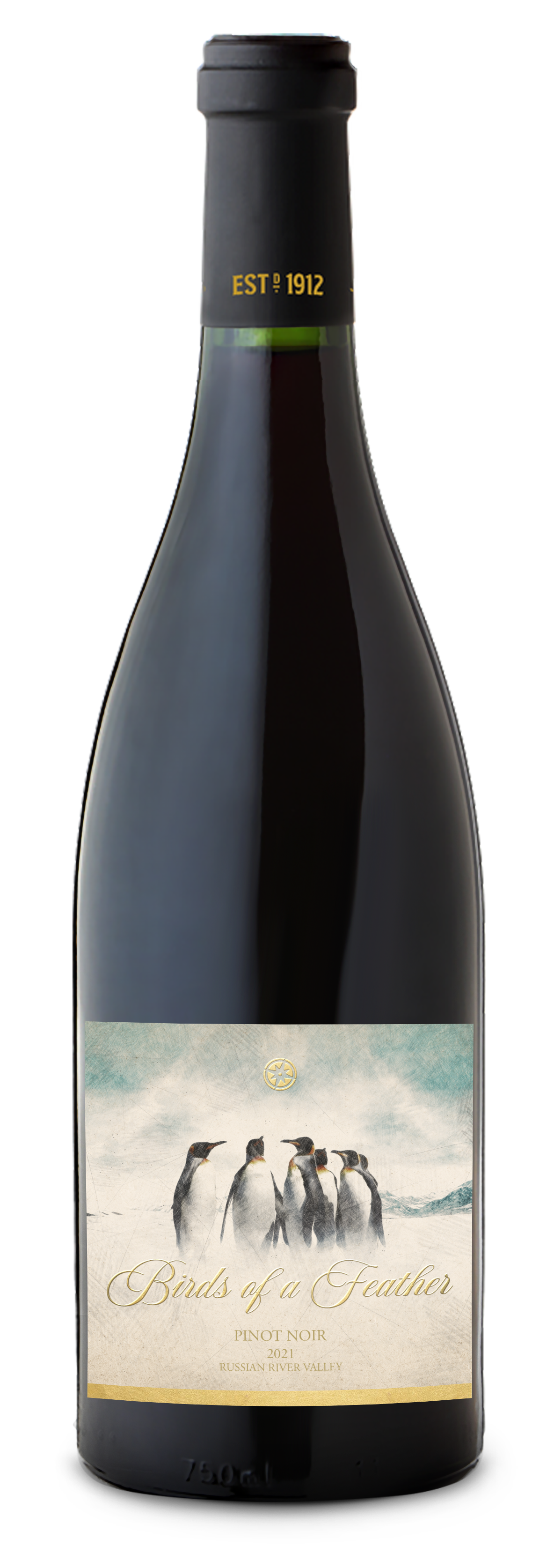 Birds of a Feather - 2021 Pinot Noir - Russian River Valley